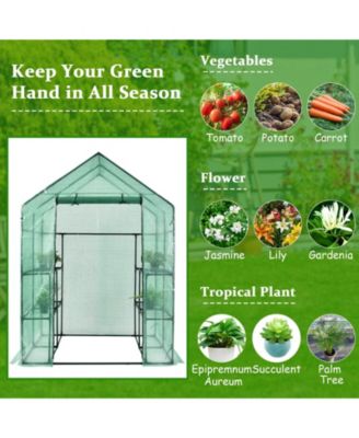 Walk-in Greenhouse 56 x 56 x 77 Inch Gardening with Observation Windows