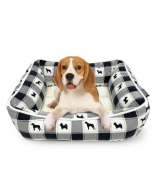 Paw & Décor