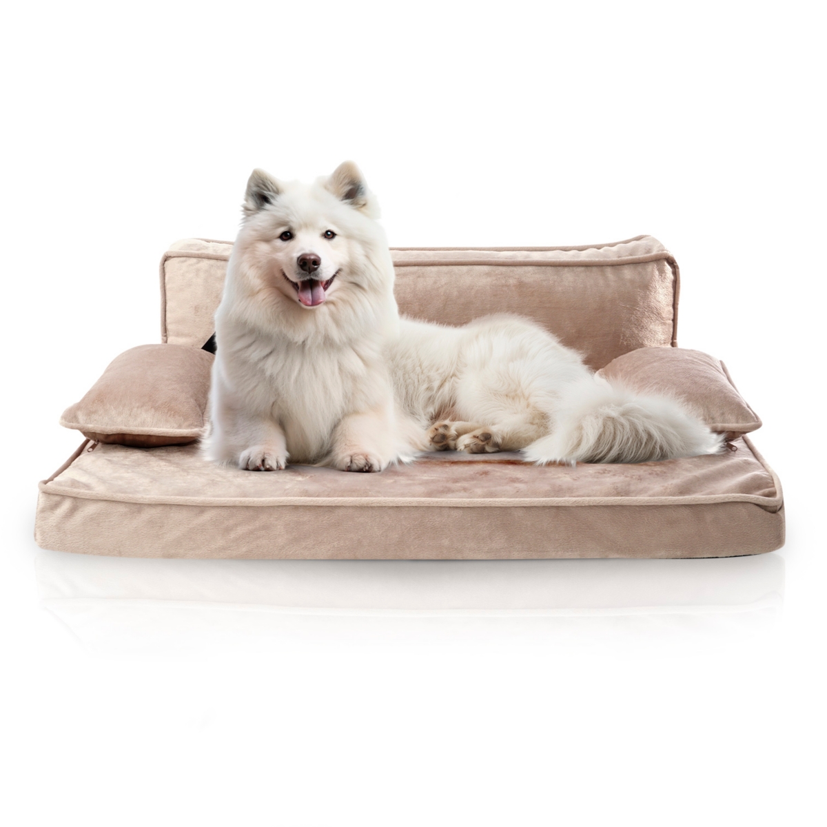 Precious Tails Orthopedic Pet Bed, Stylish Beds for Cats and Dogs, Modern Sofa Couch for Small-Medium Dog