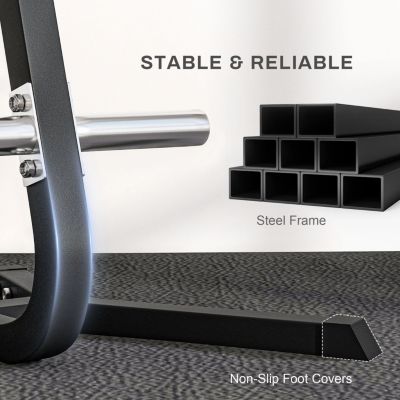 2-inch Weight Rack for Plates and 3 Bars, Olympic Weight Tree Bumper Plate Storage Holder, 660 lbs. Capacity, Black