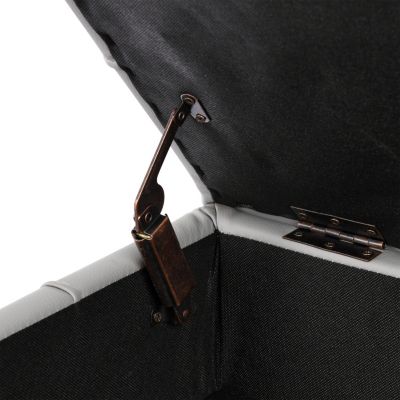 Leather Storage Ottoman with Golden Legs (22")