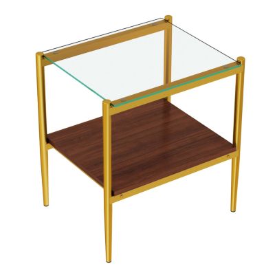 Modern Rectangle Glass End Table Set (2