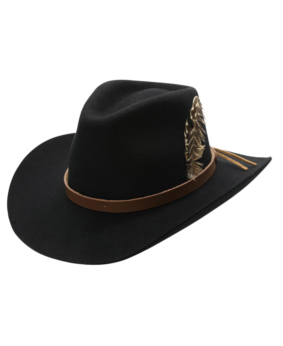 Abner Wool Felt Feathered Hat - Black