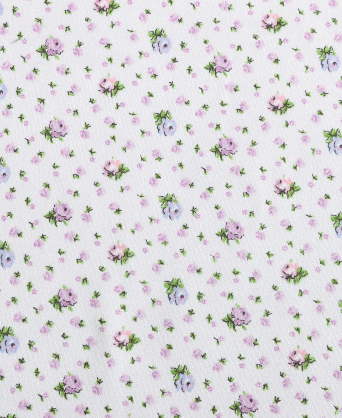 Betsey Johnson Printed Microfiber 3 Piece Sheet Set, Twin Xl In Floral Ditsy