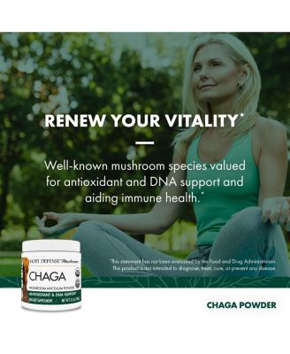 Chaga Powder - Immune System Support Supplement - Chaga Mushroom Powder for Antioxidant Activity Support - Dietary Mushroom Supplement - 3.5 oz (66 Servings)