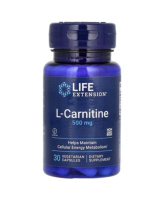 Life Extension
