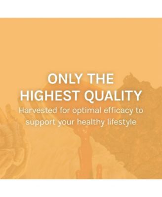 Mesima Capsules - Herbal Antioxidant Activity & Immune System Support Supplement - Mushroom Capsules Supplement to Support Balanced Immune Response - 60 Capsules (30 Servings)