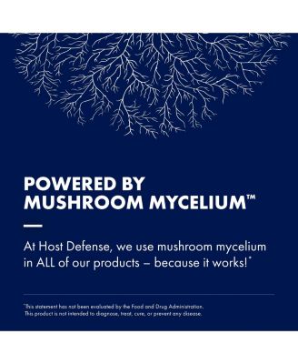 Stamets 7 Mushroom Powder - 7 Species Blend - Mushroom Supplement for Immune Support with Royal Sun Blazei, Cordyceps, Reishi, Maitake, Lion's Mane, Chaga & Mesima