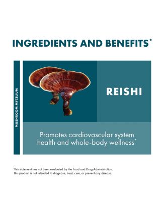 Reishi Capsules - Heart & Immune Health Support Supplement - Mushroom Supplement to Support Energy & Vitality - Reishi Supplement to Aid Overall Well-Being
