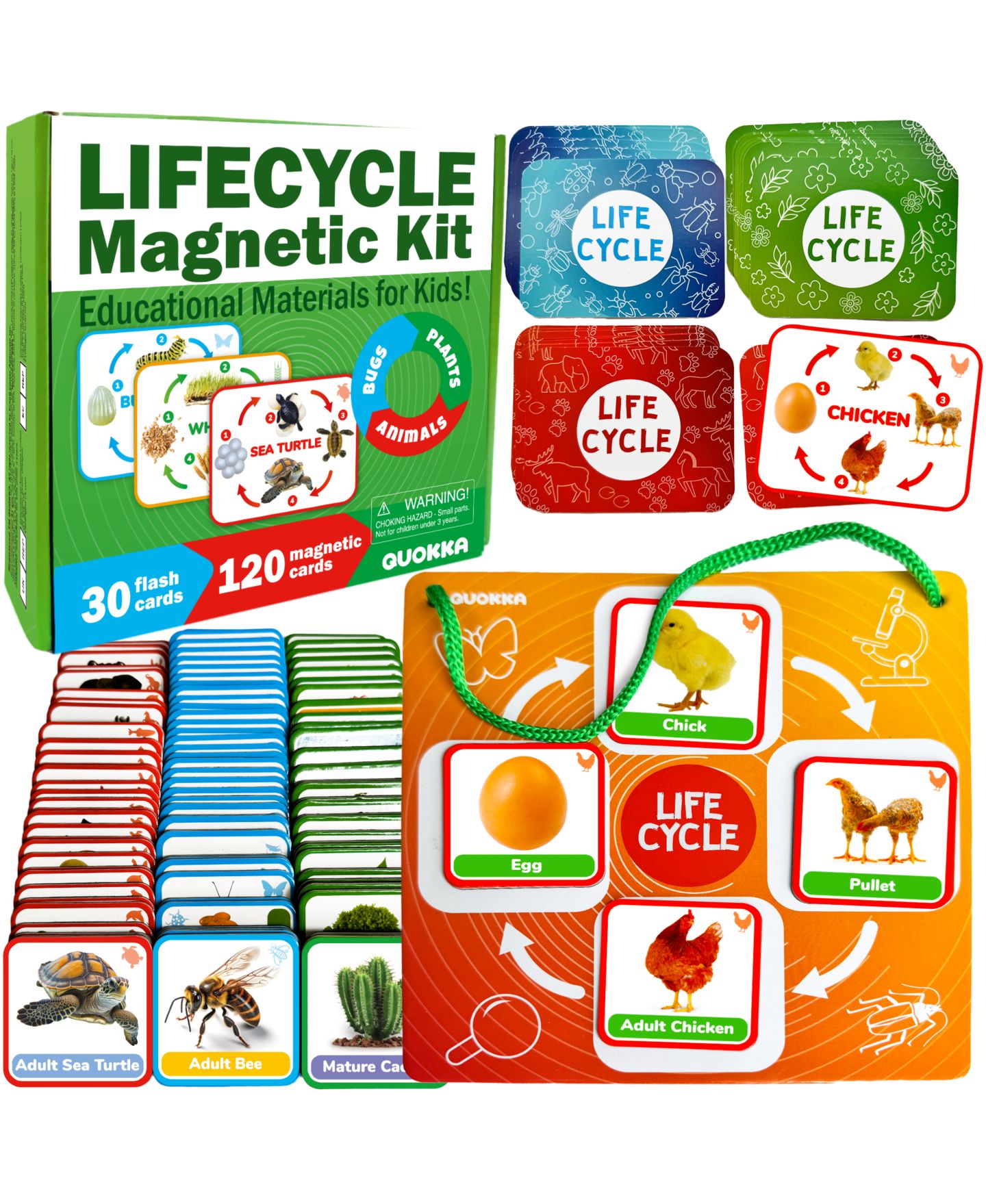 Детские игрушки Quokka Lifecycle Magnetic Kit Life Cycle Science Kit, Ages 3+ — фото 1