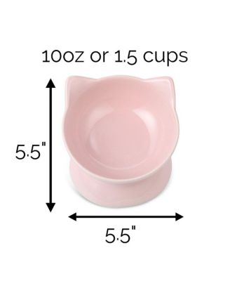 Set of two Oscar Collection Tilted Rasied Cat Dishes