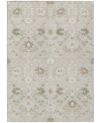 Chantille Machine Washable ACN1009 8'x10' Area Rug
