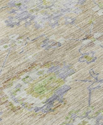 Chantille Machine Washable ACN1107 8'x10' Area Rug