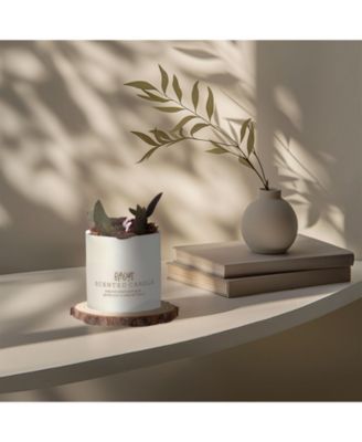 Cold Press Juicer, 4.7" Large Feed Chute Masticating Juicer with Extended Extraction Tech for Vegetables & Fruits