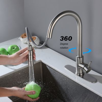 Pull-Down Sprayer and Easy Installation Touch-Activated Kitchen Faucet