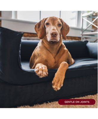 Calming Dog Bed with Mulberry Silk – Soft, Washable & Hypoallergenic