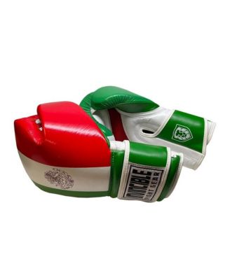 Invincible Fight Gear Standard Hook and Loop Leather Training Boxing Gloves with Mexican Flag Colors -Ideal for Boxing, Kickboxing, Muay Thai, MMA for Men Women and Kids (14oz)