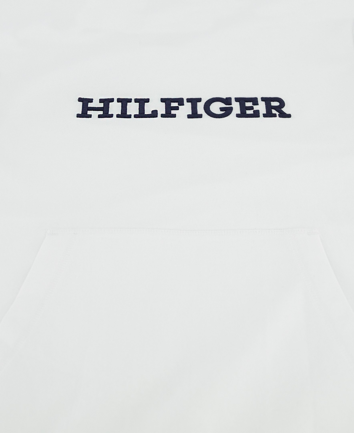 Tommy Hilfiger Toddler and Little Boys Hilfiger Hoodie