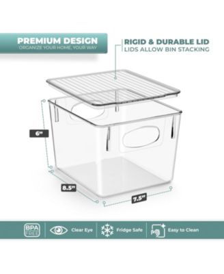2 Pack Small Clear Storage Bins with Handles and Lids