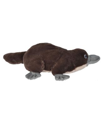 Cuddlekins Platypus Stuffed Animal, 12 Inches
