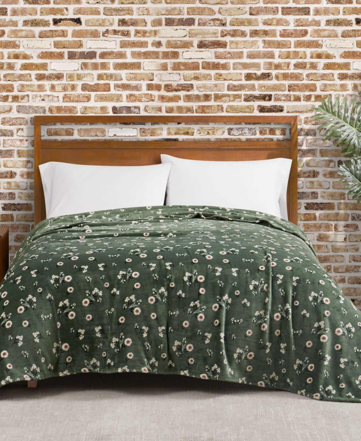 Shop Lucky Brand Daisy Floral Cozy Plush Blanket, Twin/twin Xl In Green