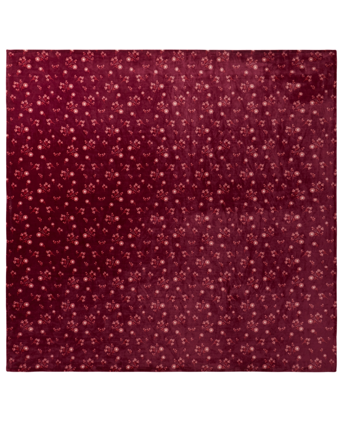 Lucky Brand Daisy Floral Cozy Plush Blanket, Twin/twin Xl In Red
