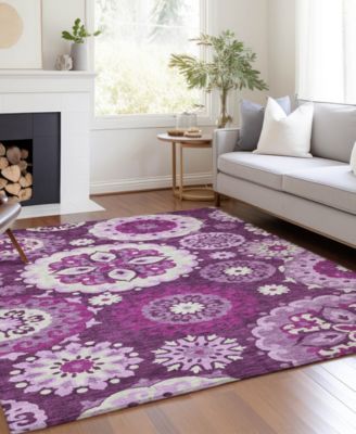 Chantille Machine Washable ACN763 8'x10' Area Rug