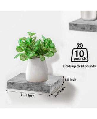 Set of 3 (9") Square Floating Shelf with Invisible Mounting Brackets for Living Room Decor, Bedroom, Bathroom Decor, Kitchen (Rustic Gray