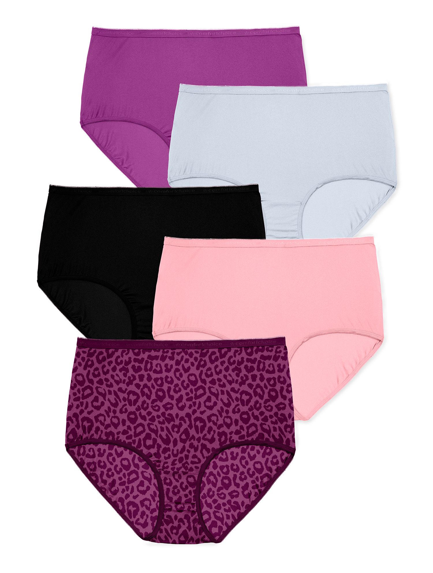 Women's 5-Pack Classic Silky Nylon Brief