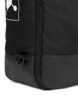 Padded Compact Stroller Travel Bag