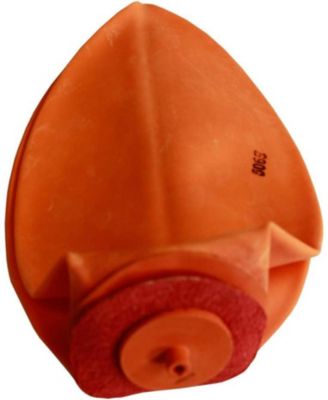Amber Sports