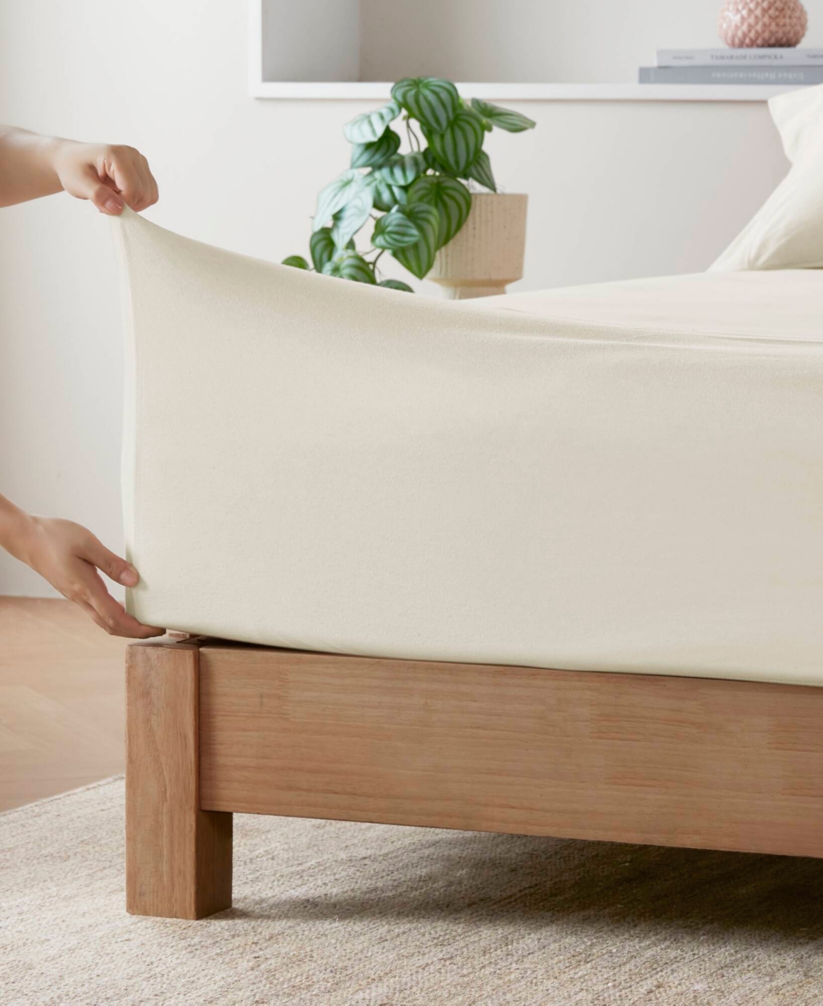 Intelligent Design Jersey-knit Cotton Blend 3-pc. Sheet Set, Twin Xl In Cream