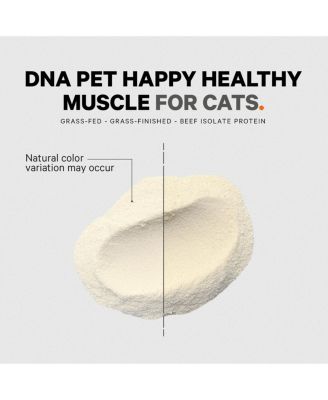 Happy Healthy Muscles Supplement for Cats - Grass-Fed Beef Protein Powder - Collagen & Amino Acid-Rich - Pure Beef Isolate - Suitable for All Life Stages - Unflavored, Non-GMO - 10.58 Oz