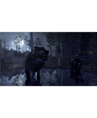 Cabela's Dangerous Hunts 2011 - PlayStation 3