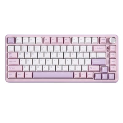 B75 PRO Wireless Mechanical Keyboard,75% Gaming Keyboard Gasket Hot Swap Custom Keyboard with Knob,Pre-lubed Switches RGB,Bluetooth/Type-C/2.4G Creamy Keyboard
