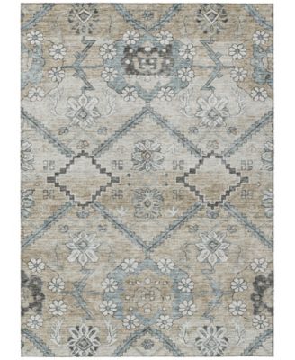 Chantille Machine Washable ACN841 8'x10' Area Rug