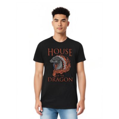 House of the Dragon
