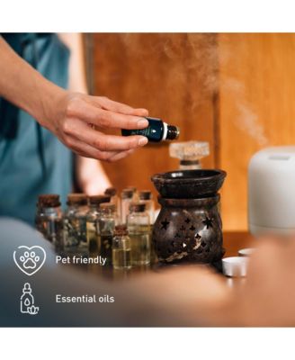 Pet & Chill Essentials: Pet-Friendly Oils, USB Diffuser & Car Vacuum