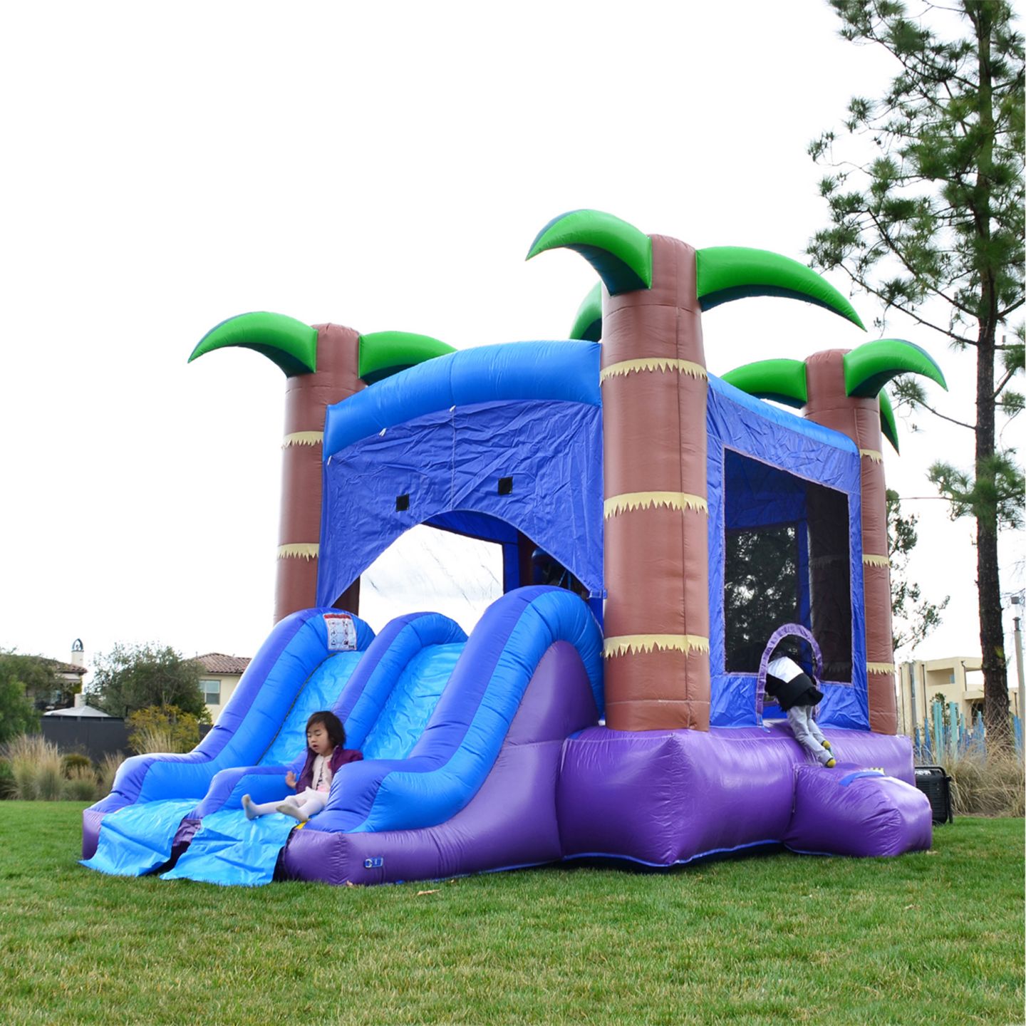 Детская игрушка HERO Kiddo HeroKiddo Enchanted Forest Commercial Grade Inflatable Bounce House & Dual Lane Water Slide Combo (No Blower/No Stakes), цвет: Open Miscellaneous — фото 5