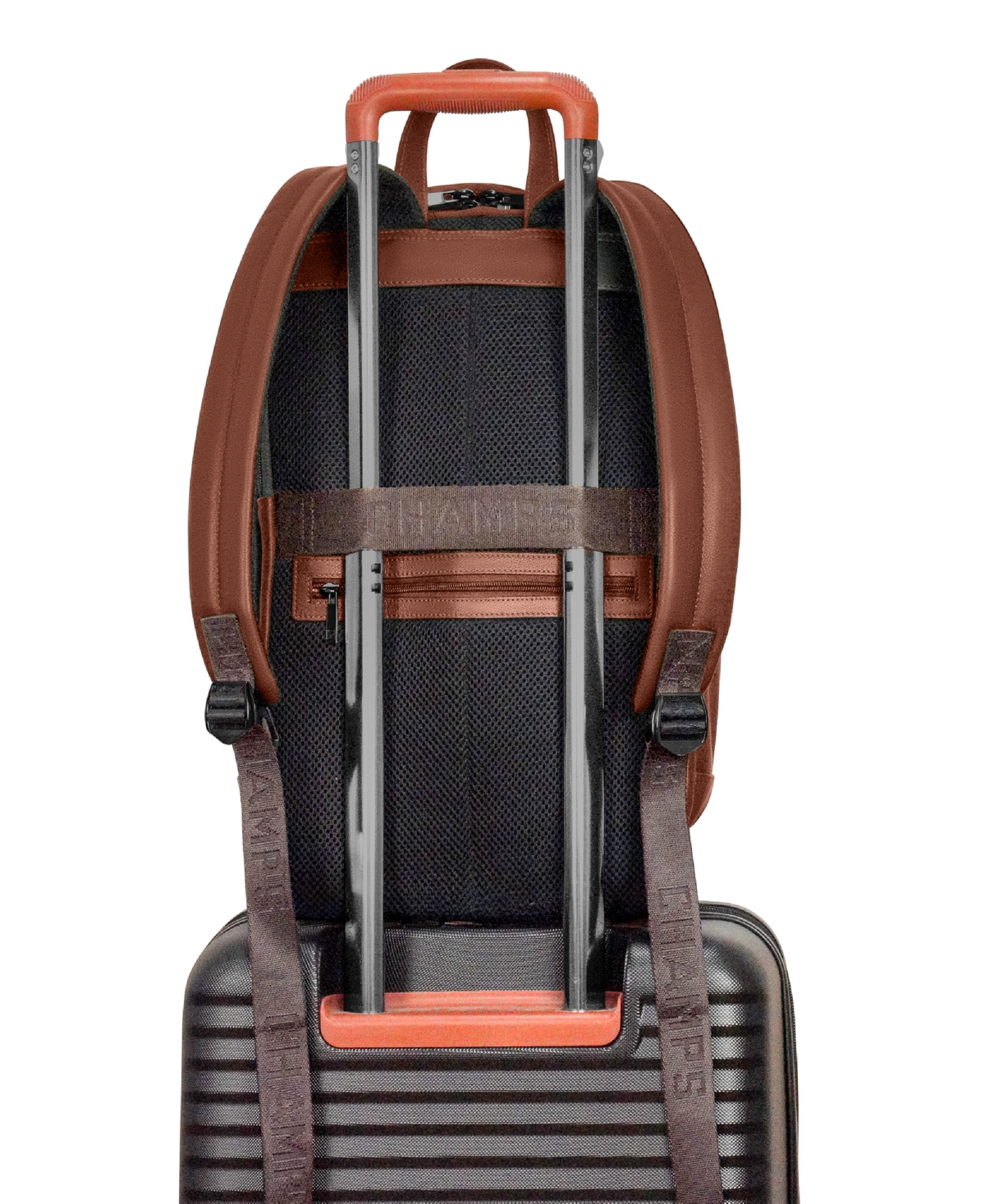 Champs Onyx Collection Classic Backpack In Brown