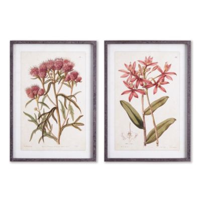 Napa Home & Garden