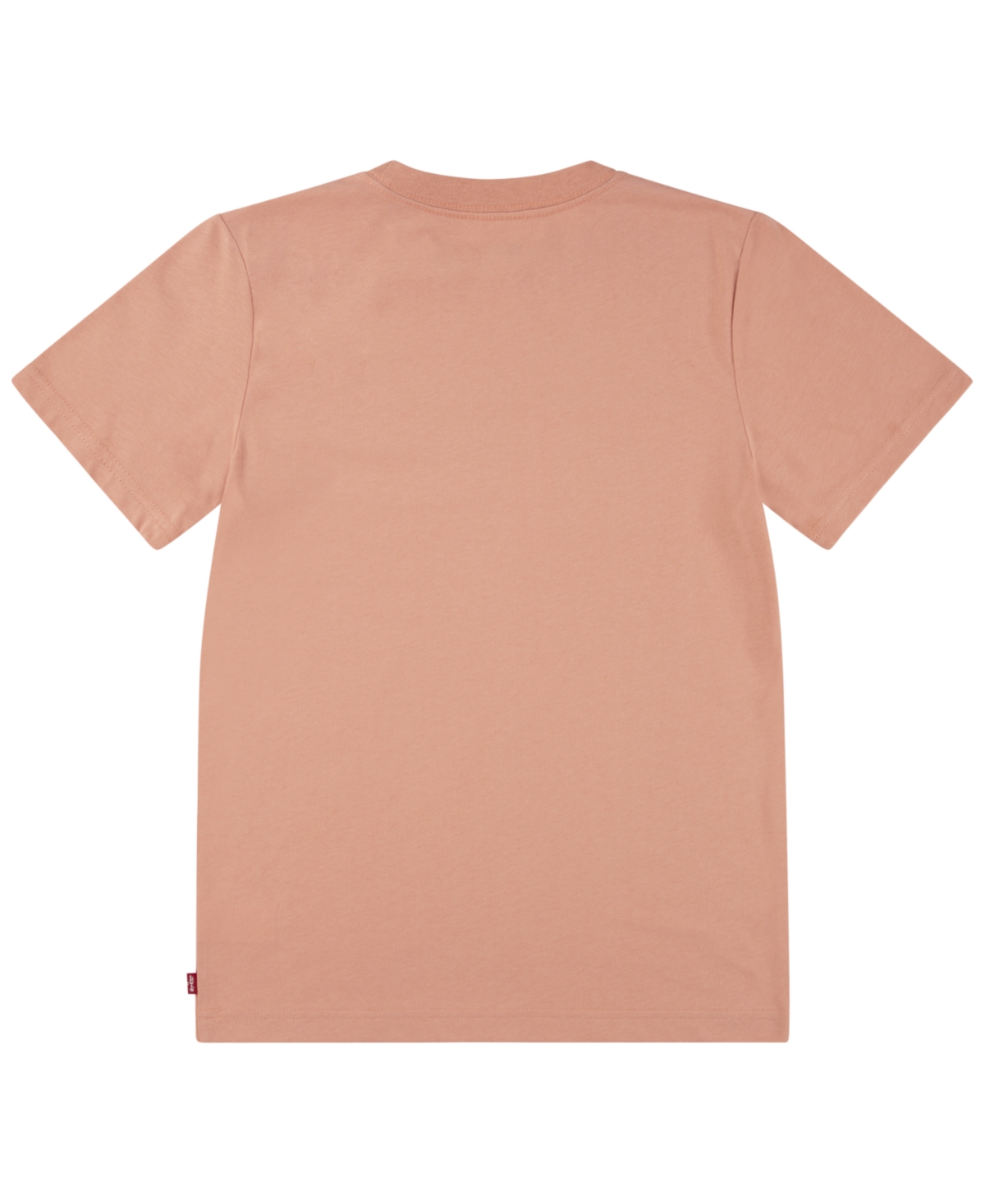 Levi's Big Boys Outline Batwing T-shirt In Tawny Orange