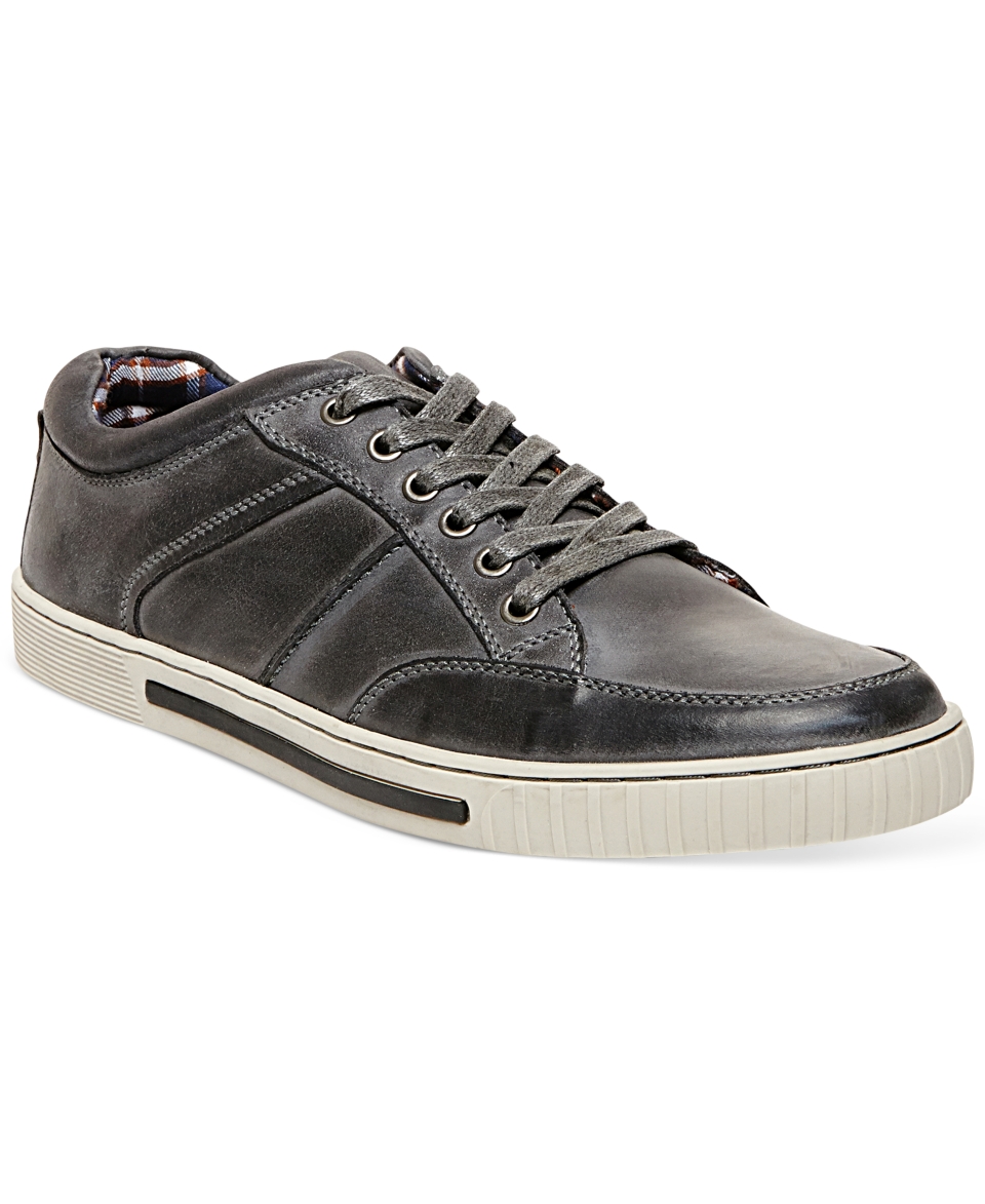 Steve Madden Pipeur Sneakers   Shoes   Men