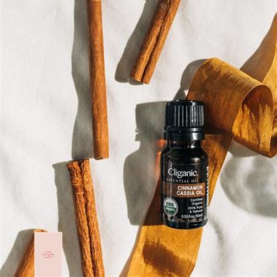 Organic Cinnamon Cassia Essential Oil - 10ml