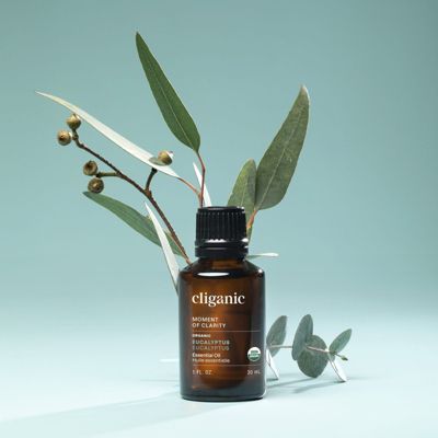 Organic Eucalyptus Essential Oil - 10 ml