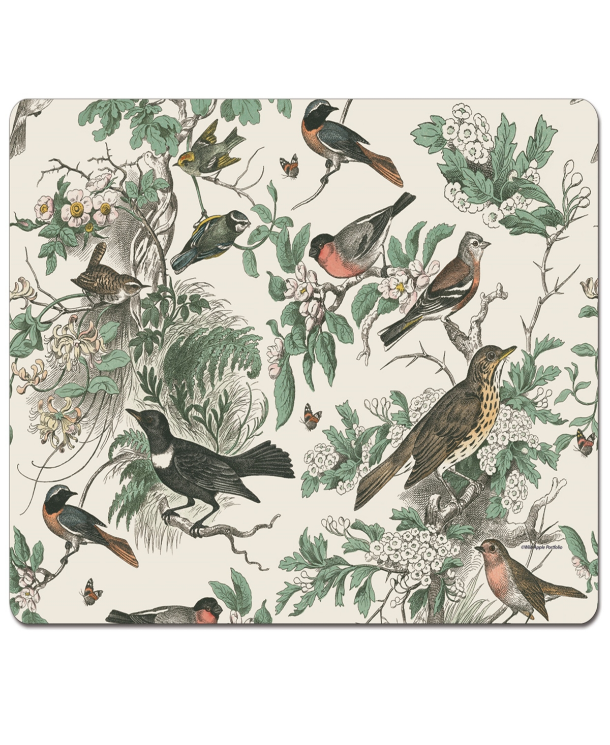 Counterart Honeybloom Birds Hardboard Cork Placemats 15"x 11", Set Of 4 In Multi
