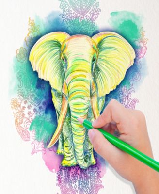 Classroom Pack Colored Pencils