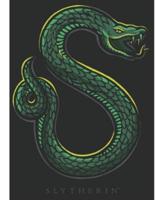 Черная футболка Harry Potter Big & Tall Slytherin Two Puff Ink-4XL