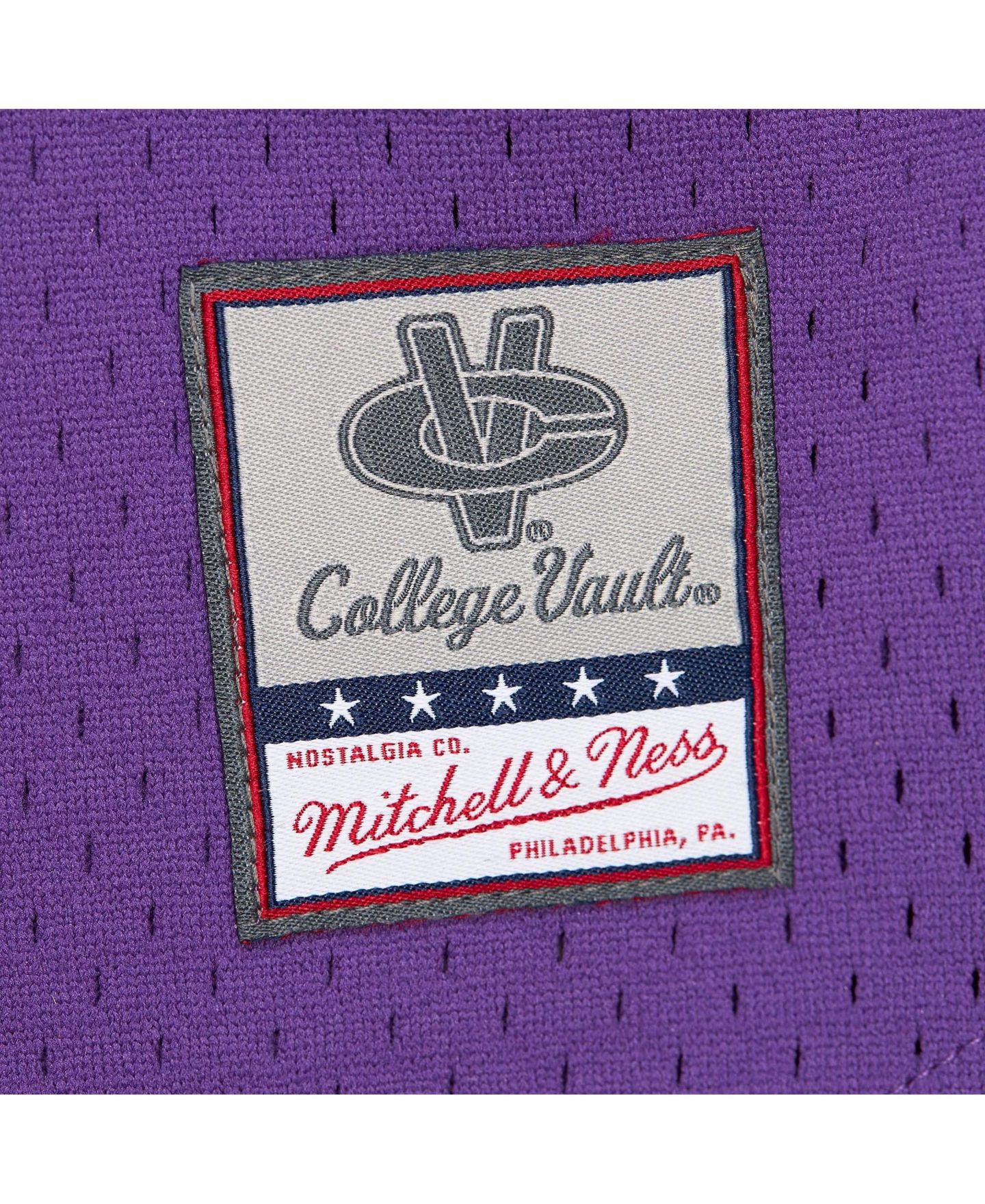 Мужской топ Mitchell & Ness Purple LSU Tigers Game Time Vintage Mesh Button Front — фото 5