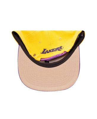Мужская бейсболка Pro Standard с золотисто-фиолетовым логотипом Los Angeles Lakers Morph Snapback